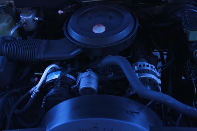 1993 Blue/Gold Chevrolet Other Pickups