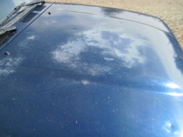 1993 Blue Toyota Pickup Standard Cab Pickup