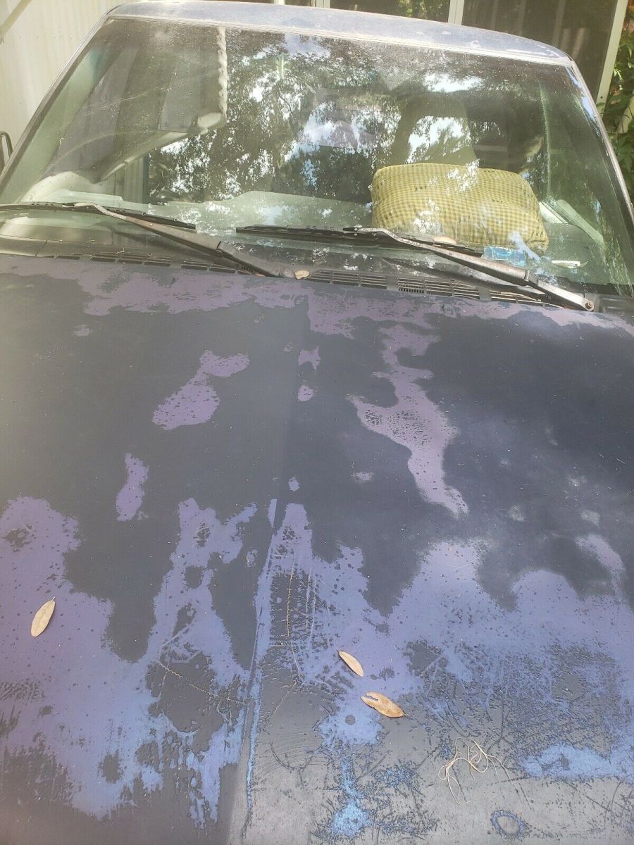 1994 Blue Chevrolet S10 Pickup