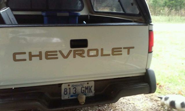 1994 White Chevrolet S-10 Standard Cab Pickup