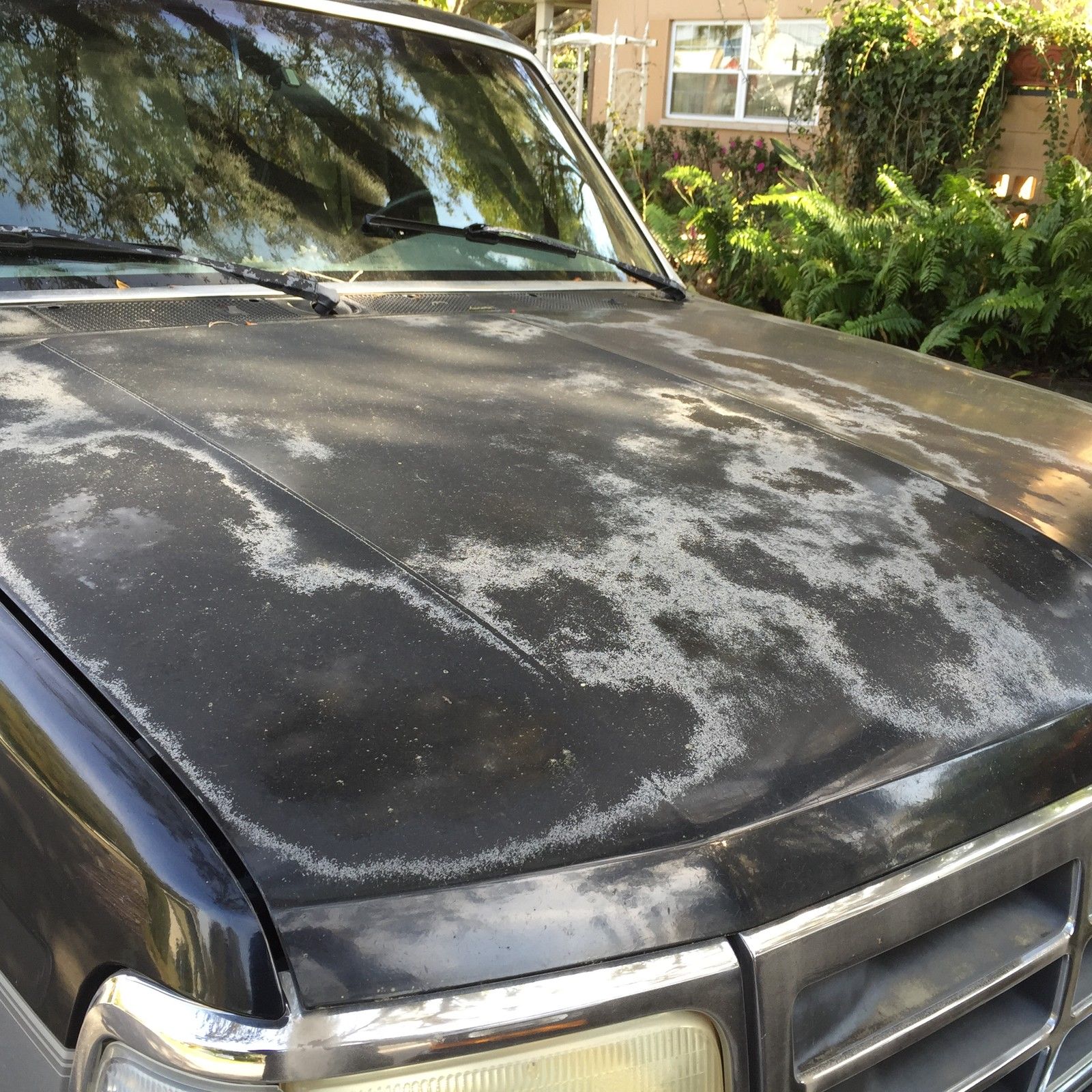 1994 Ford F-250 Extended Cab Pickup