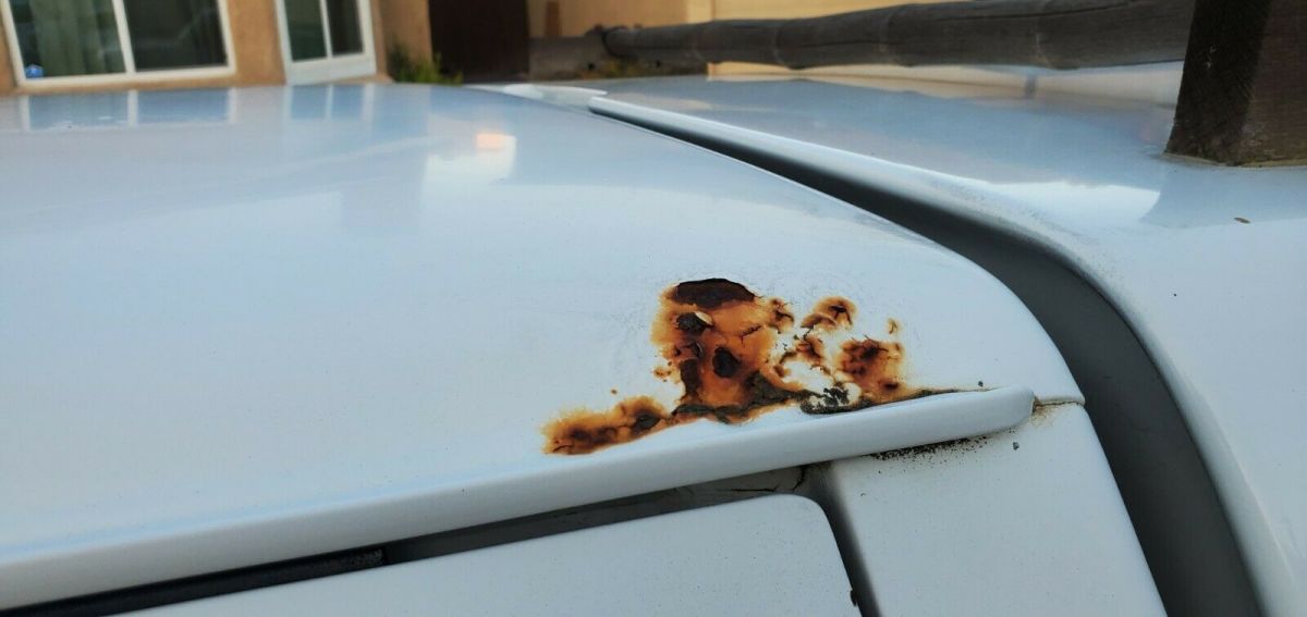 1994 Green Ford F-150 Standard Cab Pickup