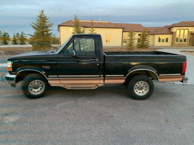 1994 Ford F-150 Standard Cab Pickup