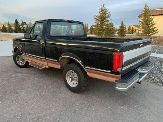 1994 Ford F-150 Standard Cab Pickup