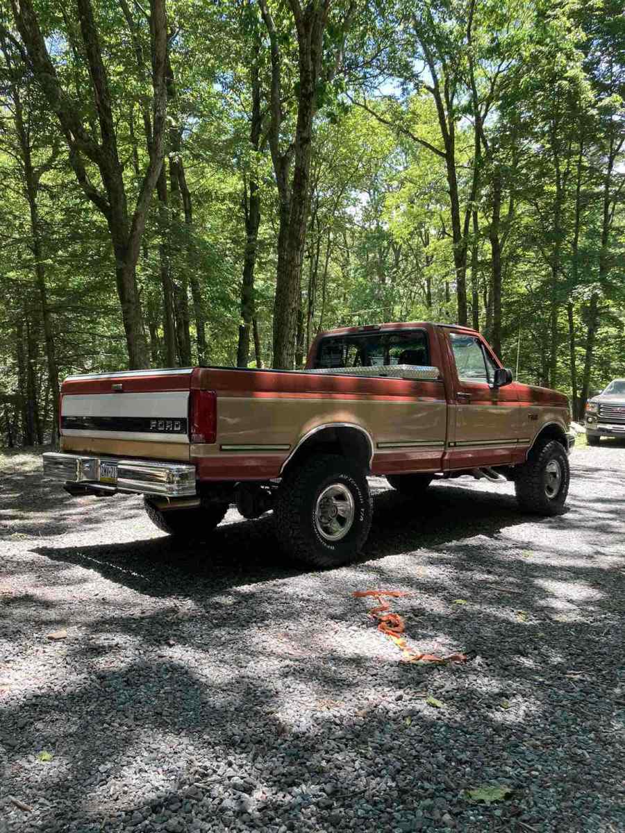 1994 Brown Ford F-150 Pickup
