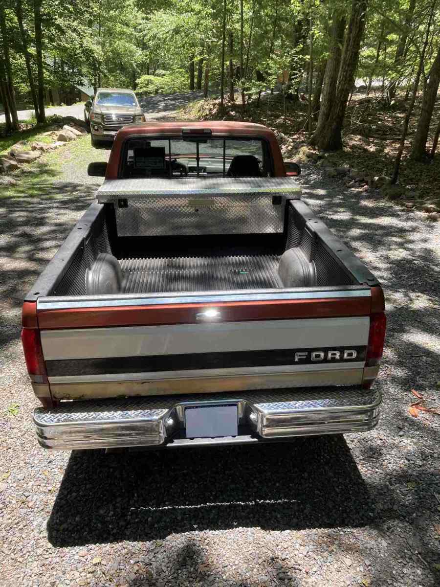 1994 Brown Ford F-150 Pickup