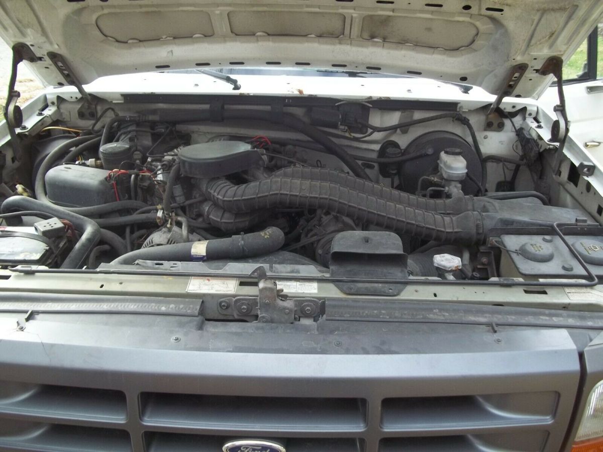 1994 White Ford F-250 Standard Cab Pickup