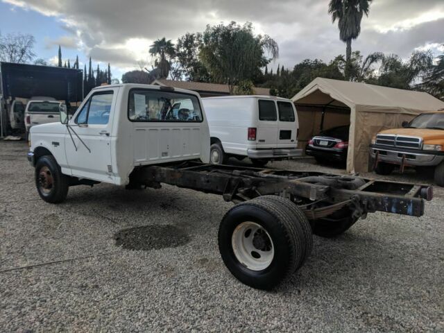 1994 White Ford F --