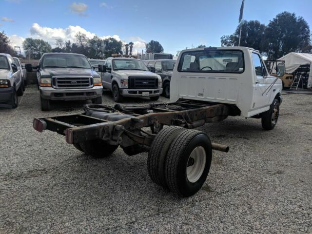 1994 White Ford F --