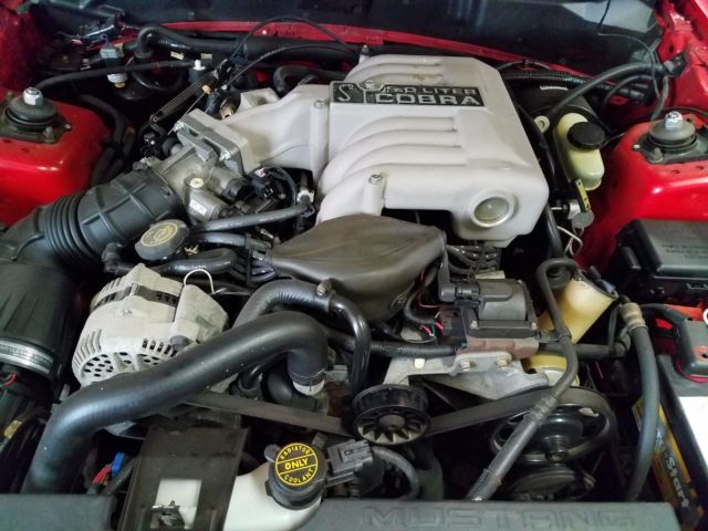 1994 RED Ford Mustang