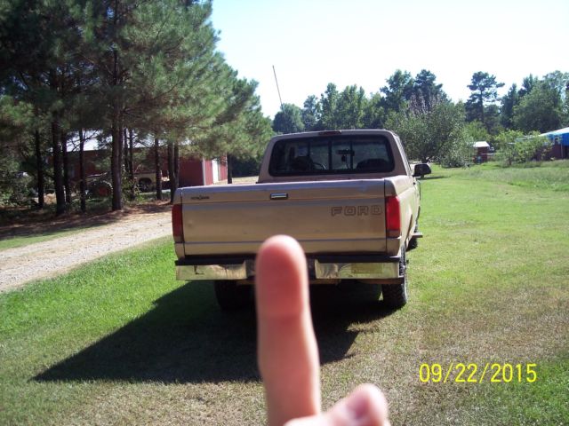 1994 Brown Ford F-150 Extended Cab Pickup