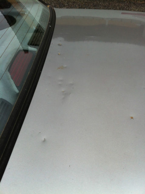 1989 Gray BMW 3-Series