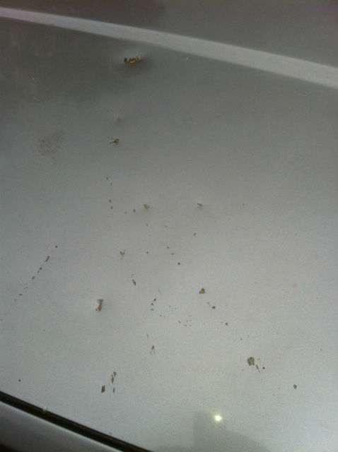 1989 Gray BMW 3-Series