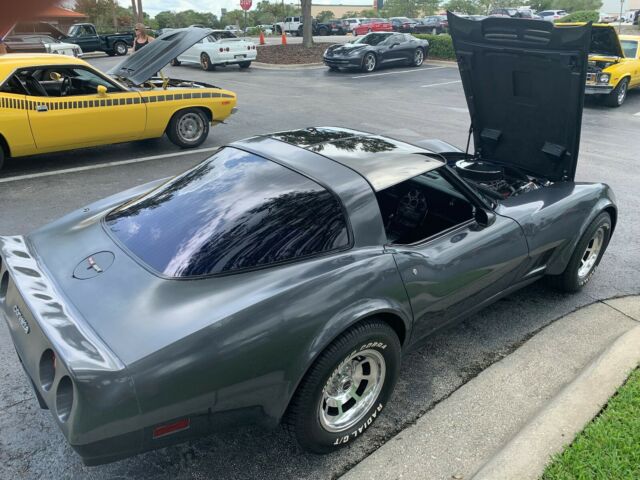 1981 Gray Chevrolet Corvette Coupe