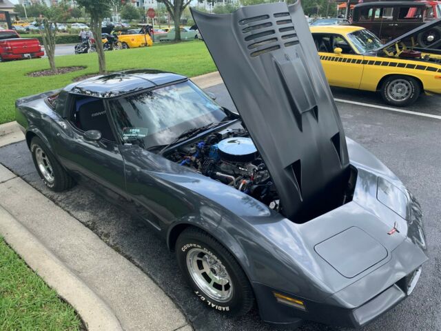 1981 Gray Chevrolet Corvette Coupe