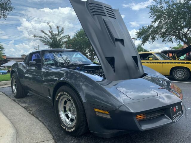 1981 Gray Chevrolet Corvette Coupe