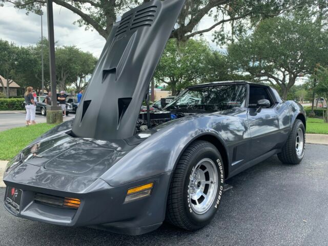 1981 Gray Chevrolet Corvette Coupe
