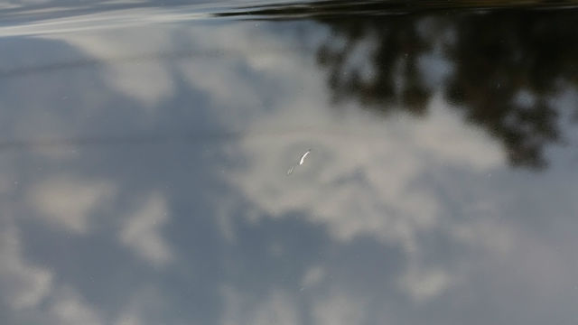 1991 Black Chevrolet Camaro Coupe