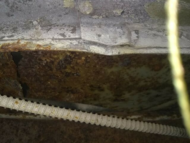 1968 white Pontiac Firebird Coupe