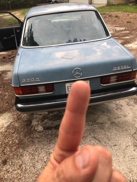 1980 Blue Mercedes-Benz 300-Series Sedan