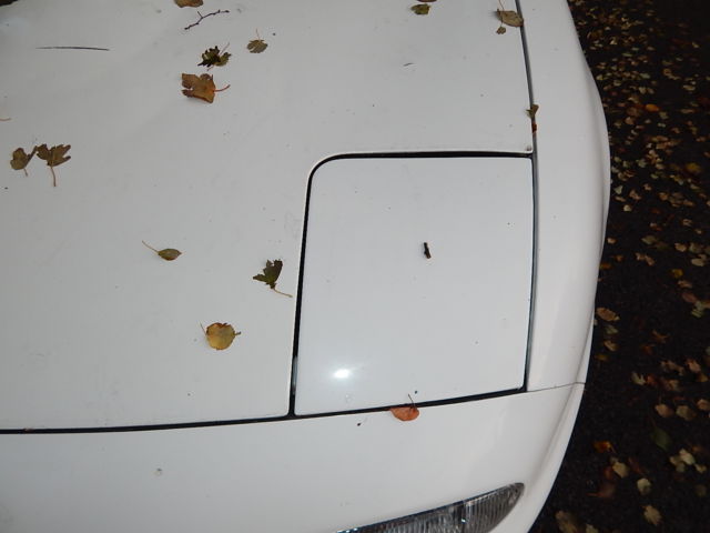 1992 Strato Blue Mica Mazda MX-5 Miata Convertible