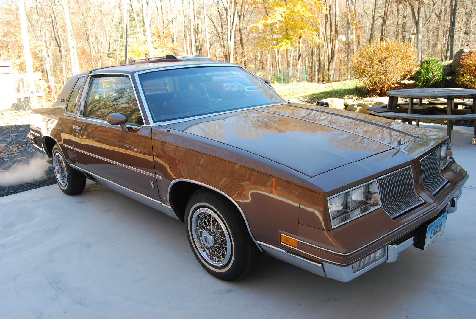 1986 Brown Oldsmobile Cutlass