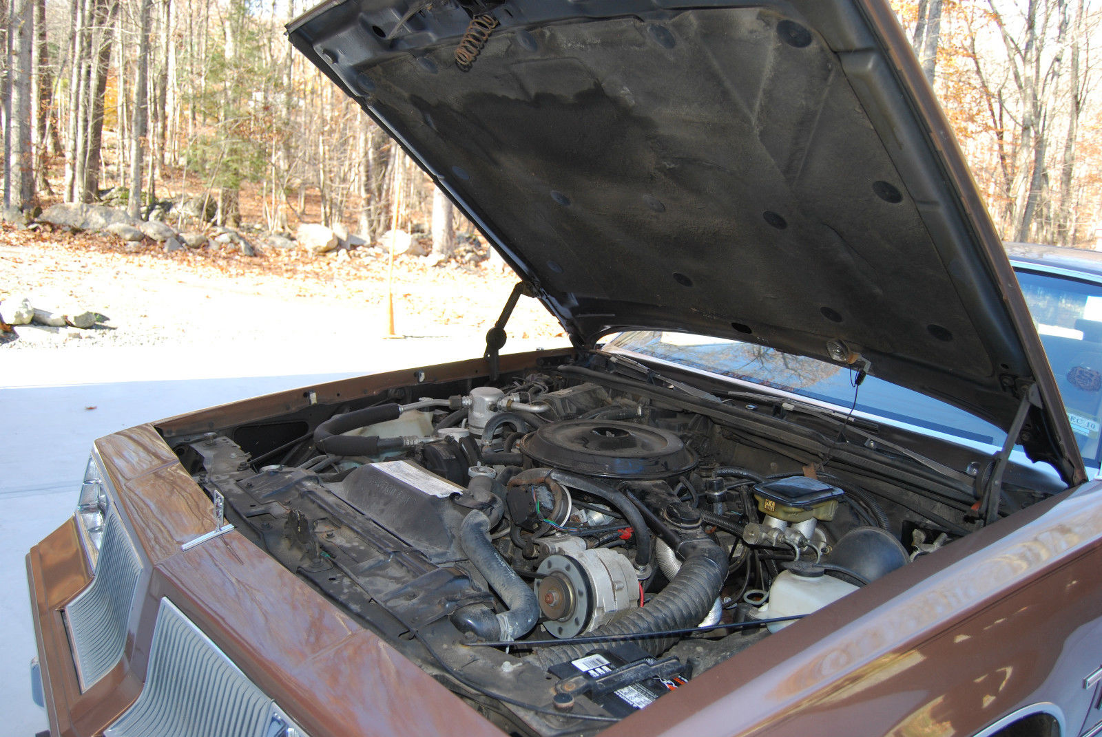 1986 Brown Oldsmobile Cutlass