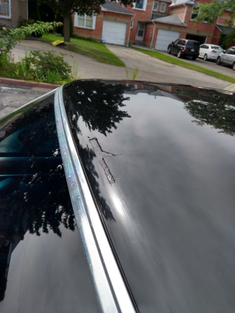 1979 Black Chevrolet El Camino Standard Cab Pickup