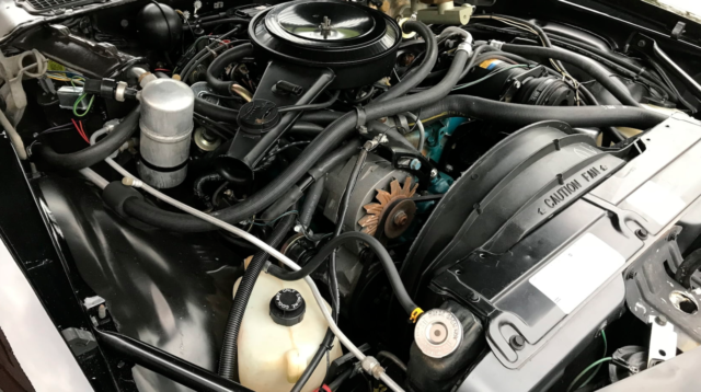 1981 Black Chevrolet Camaro