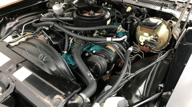 1981 Black Chevrolet Camaro