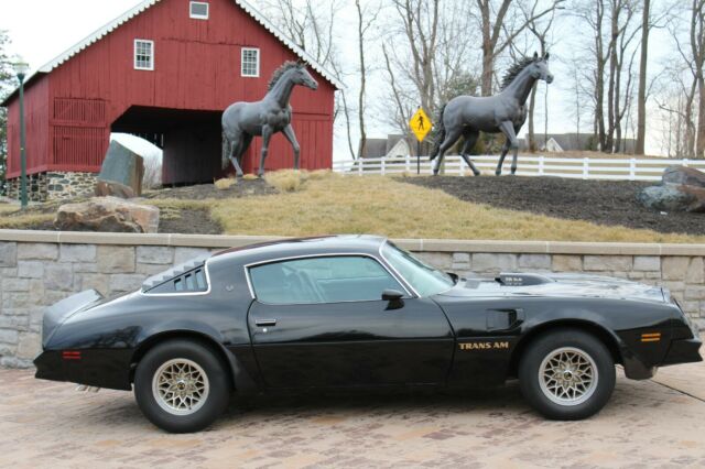 1976 Starlite  Black Pontiac Firebird Coupe