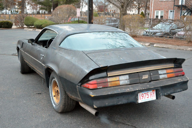 1981 Black Chevrolet Camaro Coupe