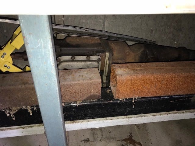 1955 Primer Ford Thunderbird