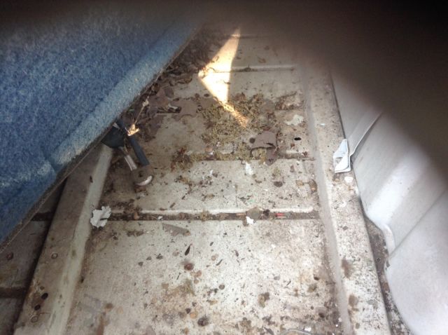 1956 White Chevrolet Other Pickups Big window