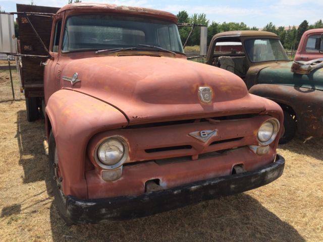 1956 Ford F-100