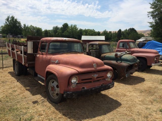 1956 Ford F-100