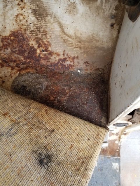 1961 White Ford F-100 Standard Cab Pickup