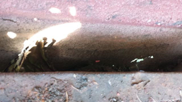 1964 Red Ford Galaxie Fastback