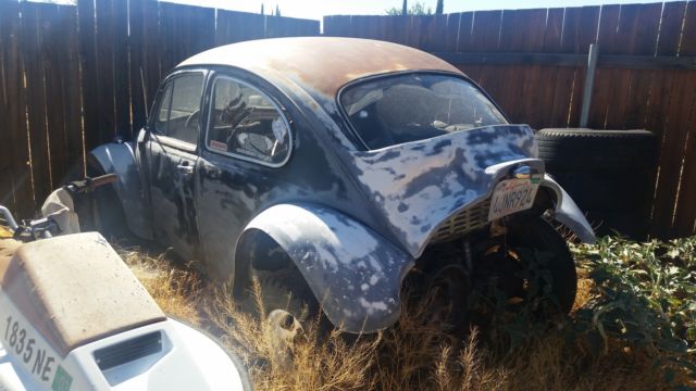 1964 Volkswagen Baha