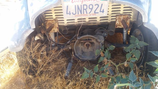 1964 Volkswagen Baha