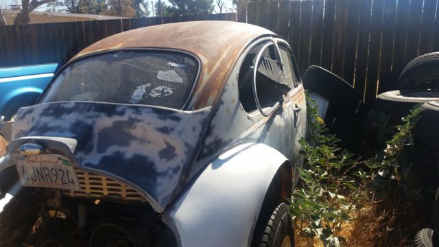 1964 Volkswagen Baha