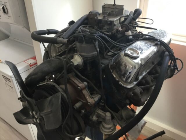 1965 Ivy green Ford Mustang Fastback