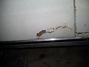 1966 White Ford Mustang Coupe