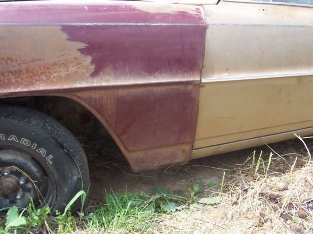 1966 gold Chevrolet Nova