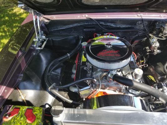 1967 wild orchid pearl Chevrolet Chevelle Coupe