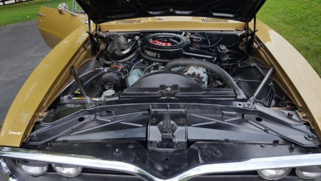 1967 Gold Pontiac Firebird