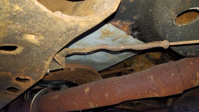 1967 Pontiac Firebird Convertible