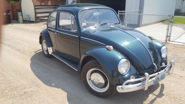 1967 Volkswagen Beetle - Classic