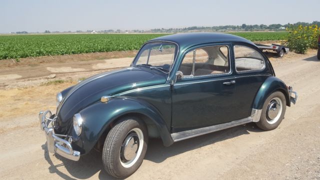 1967 Volkswagen Beetle - Classic