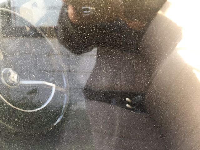 1969 Tan Volkswagen Beetle - Classic Sedan